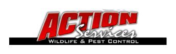 Action Services